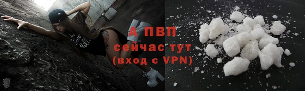 спиды Козельск