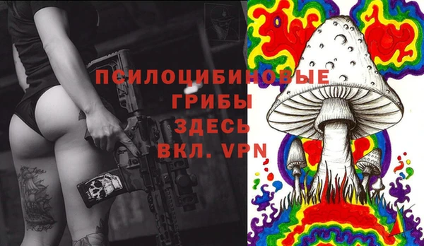 спиды Козельск