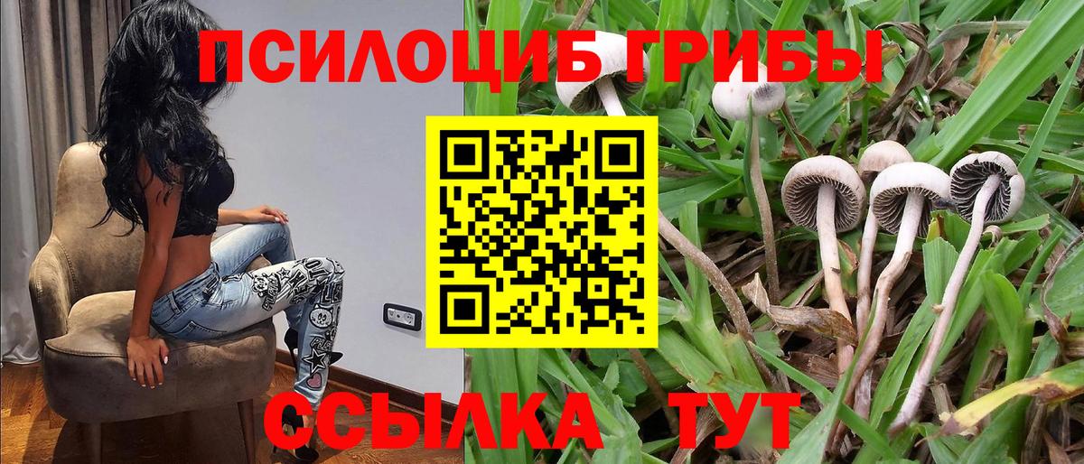 Галлюциногенные грибы ЛСД  Вход с VPN  Челябинск  Галлюциногенные грибы ЛСД 