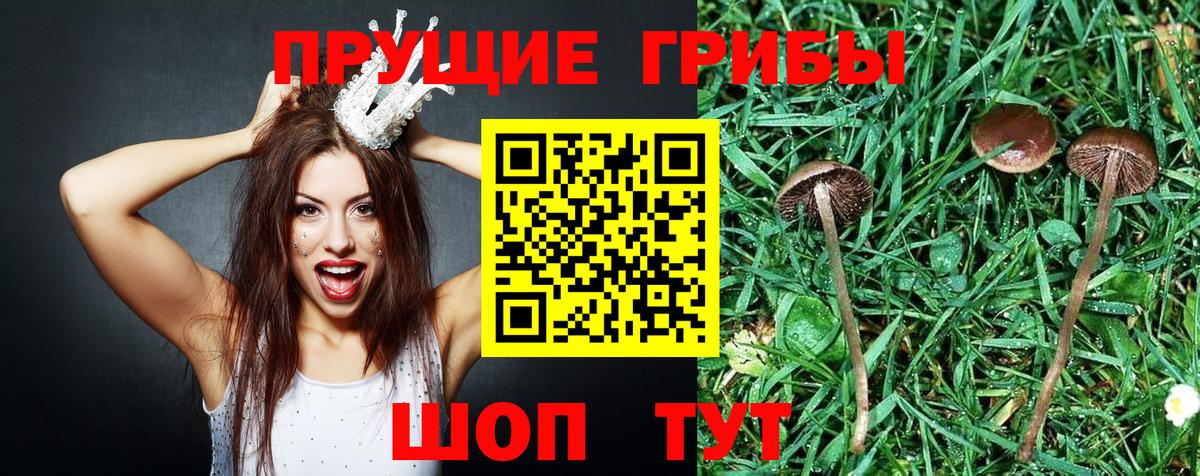 Псилоцибиновые грибы ЛСД Челябинск